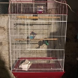 Bird cage